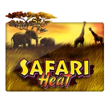 Joker123 : Safari Heat - PORTBET88