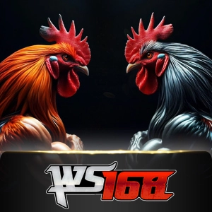 Ws168 Sabung - PORTBET88