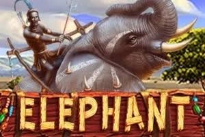 PLAYSTAR : ELEPHANT - PORTBET88