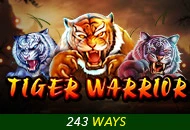 Spadegaming : Tiger Warrior - PORTBET88