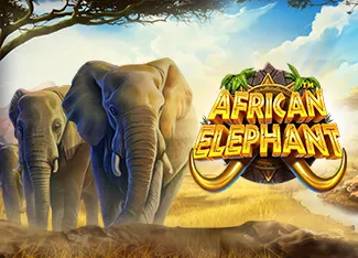 Pragmatic : African Elephant - PORTBET88